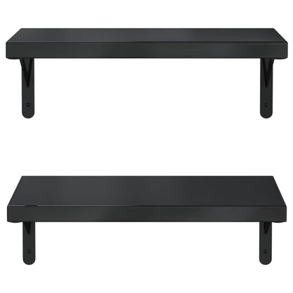 Wandschappen 2 st 50x23,5 cm roestvrijstaal zwart