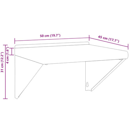 Wandschap 50x45x31 cm roestvrijstaal zilverkleurig