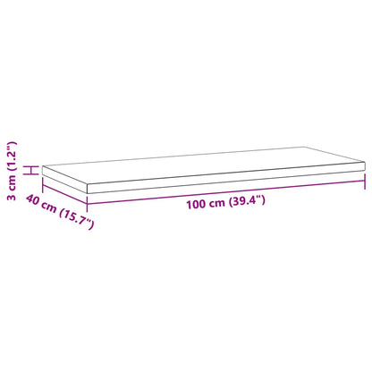 Wandschappen 2 st 100x40x3 cm roestvrijstaal zilverkleurig