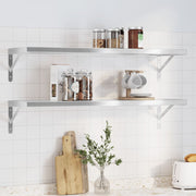 Wandschappen 2 st 100x30x3 cm roestvrijstaal