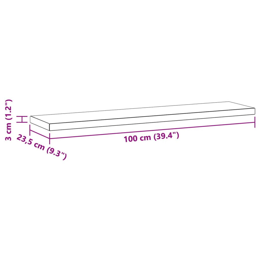 Wandschappen 2 st 100x23,5x3 cm roestvrijstaal zwart
