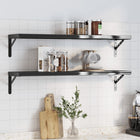 Wall shelves 2 pcs 100x23.5x3 cm stainless steel black