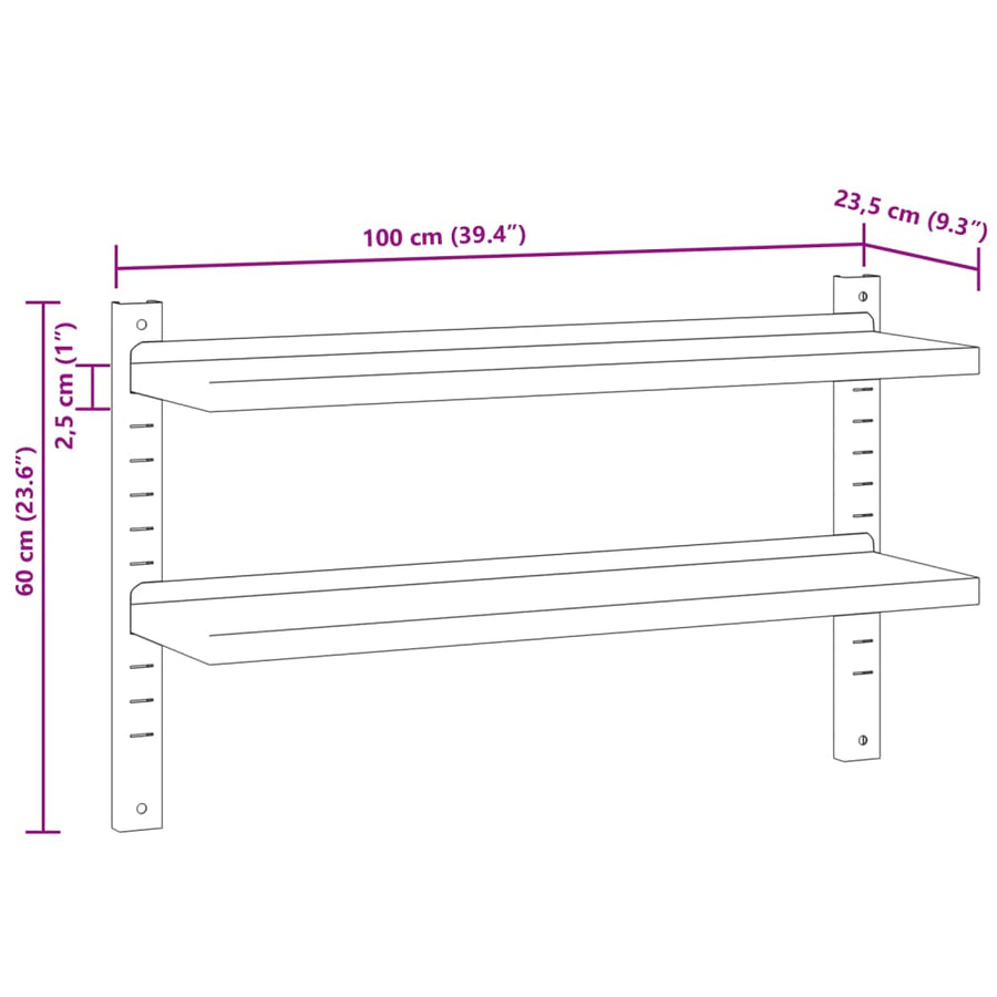 Wandschap 2-laags 100x23,5x60 cm roestvrijstaal zilverkleurig