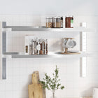 Wandschap 2-laags 100x23,5x60 cm roestvrijstaal