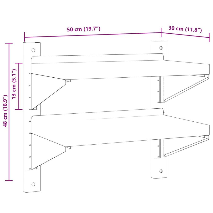 Wandschap 2-laags 50x30x60 cm roestvrijstaal zilverkleurig