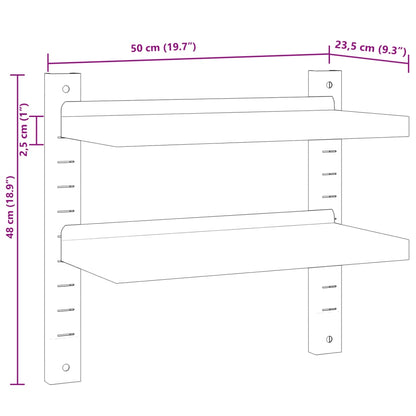 Wandschap 2-laags 50x23,5x60 cm roestvrijstaal zilverkleurig
