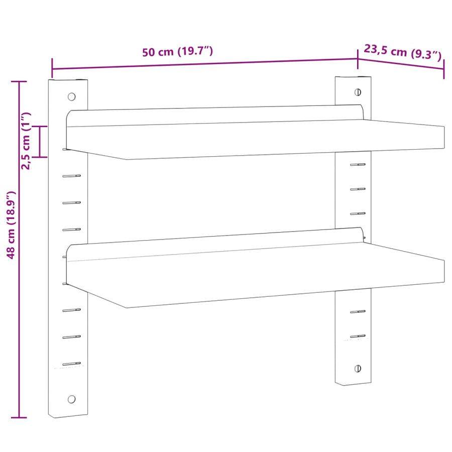Wandschap 2-laags 50x23,5x60 cm roestvrijstaal zilverkleurig