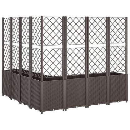 Plantenbak Met Latwerk 160X160X140 Cm Polypropeen Bruin Blauw