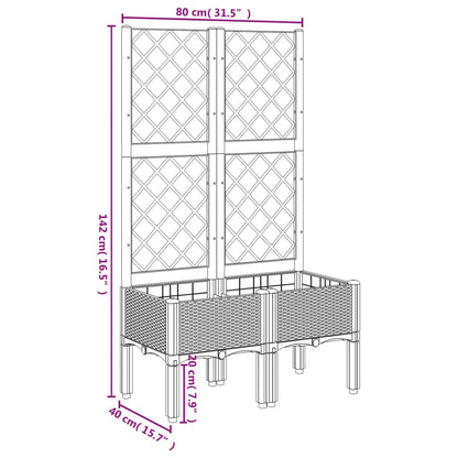 Plantenbak Met Latwerk 80X40X142 Cm Polypropeen Zwart