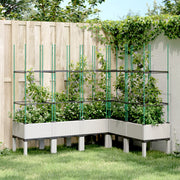 Plantenbak met latwerk 160x120x142,5 cm wit