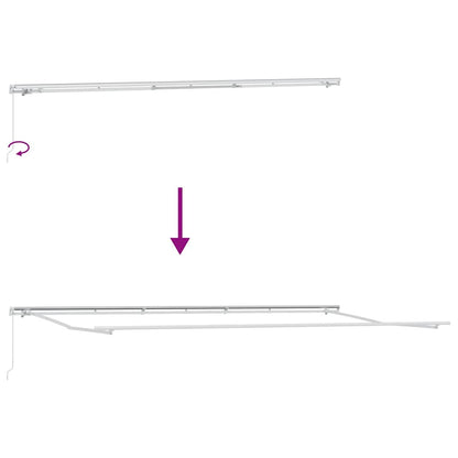 Luifel handmatig uittrekbaar 600x300 cm bruin