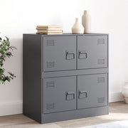 Dressoir 67x39x73 cm staal antraciet