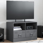 TV stand 67x39x44 cm steel anthracite