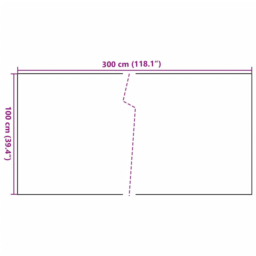 Balkonscherm Poly Rattan Kleurig 300 x 100 cm