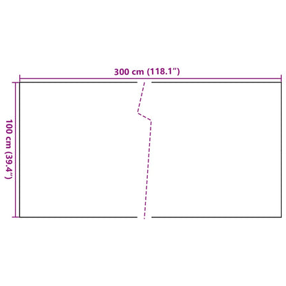 Balkonscherm Poly Rattan 300 x 100 cm