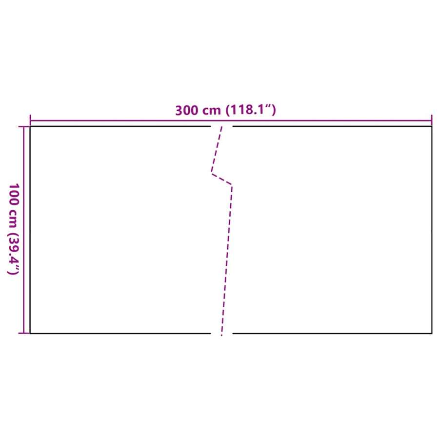 Balkonscherm Poly Rattan 300 x 100 cm