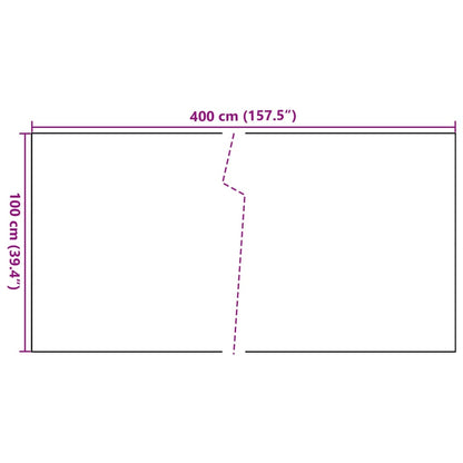 Balkonscherm Poly Rattan 400 x 100 cm