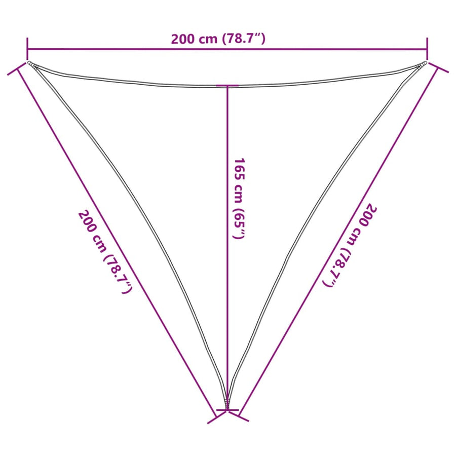 Zonnezeil 100% Polyester Oxford Zwart 2 x 2 x 2 m