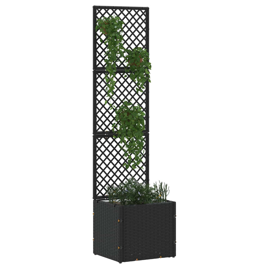 Tuin Trellis Planter Zwart 35 x 30 x 135 cm Metaal