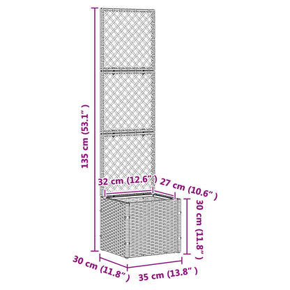 Tuin Trellis Planter Zwart 35 x 30 x 135 cm Metaal