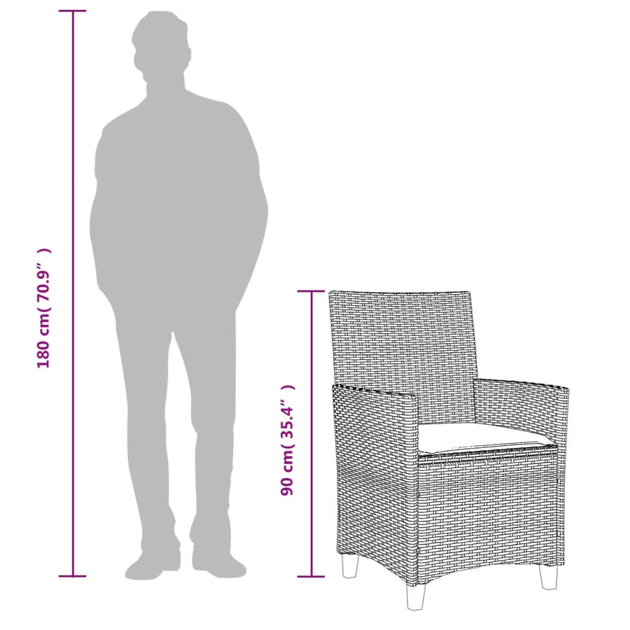 Tuinstoelen 2 St Met Kussens Poly Rattan En Massief Hout Zwart