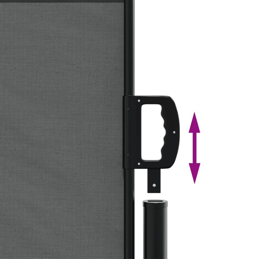 Windscherm Uittrekbaar 120X300 Cm Antracietkleurig Goud