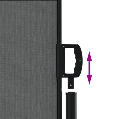 Windscherm Uittrekbaar 120X300 Cm Antracietkleurig Goud