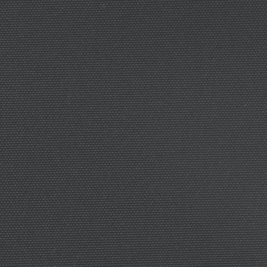 Windscherm Uittrekbaar 120X600 Cm Zwart