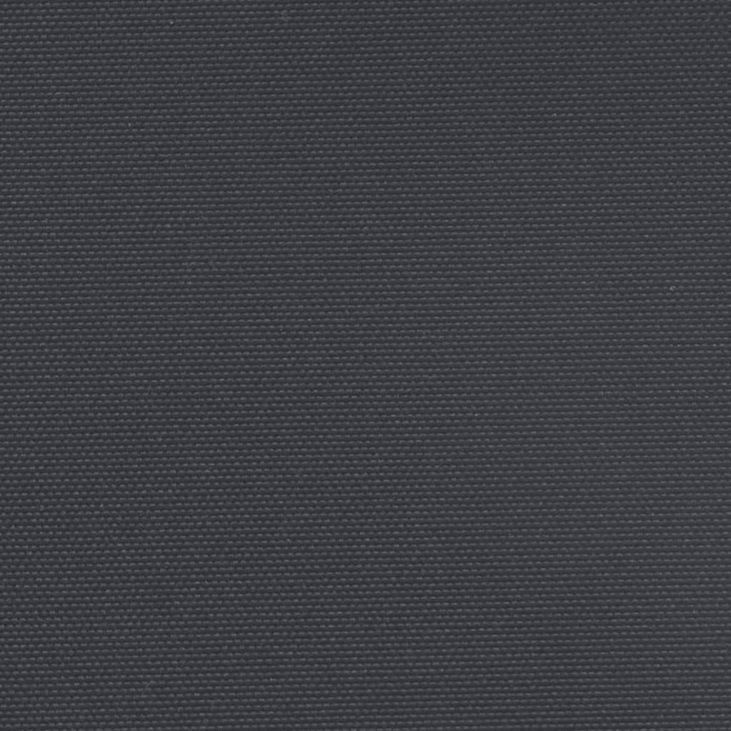 Windscherm Uittrekbaar 160X600 Cm Zwart