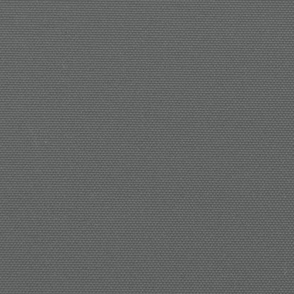 Windscherm Uittrekbaar 160X600 Cm Antraciet