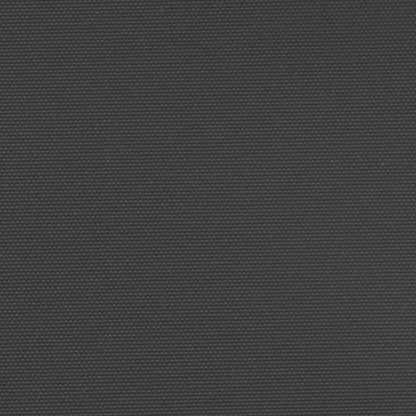 Windscherm uittrekbaar 160x1200 cm zwart