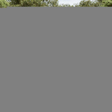 14-Delige Loungeset Met Kussens Poly Rattan Zwart