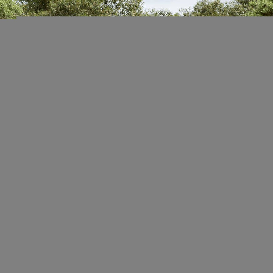 14-Delige Loungeset Met Kussens Poly Rattan Zwart