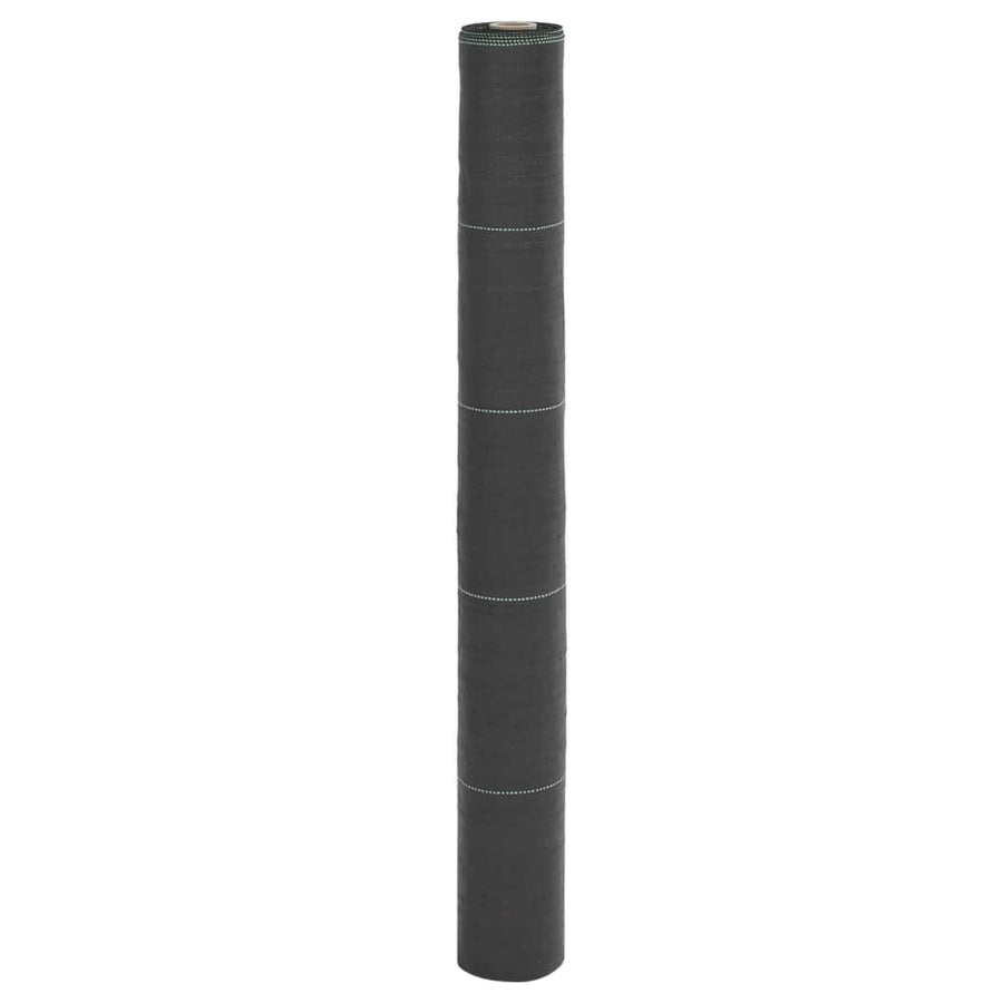 Worteldoek 1x200 m polypropeen zwart