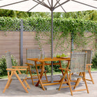 Garden chairs 4 pcs adjustable poly rattan and solid wood grey
