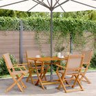 Garden chairs 4 pcs foldable fabric and solid wood taupe