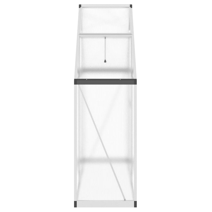 Tuinkas met basisframe 169x58x195 cm aluminium zilverkleurig