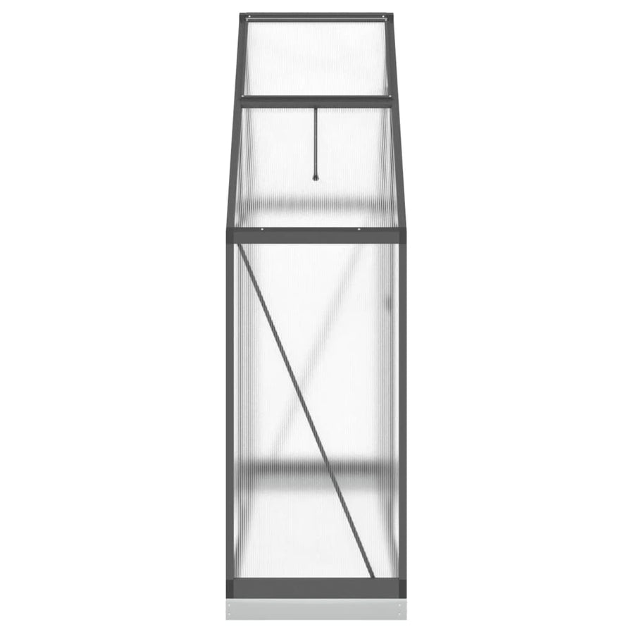 Tuinkas met basisframe 169x58x202 cm aluminium antracietkleurig
