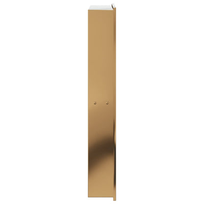 Douchenis 32x62x9 cm roestvrijstaal geborsteld goudkleurig