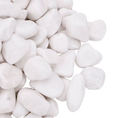 Kiezelstenen Gepolijst 2-5 Cm 25 Kg 2-5 cm (25 kg) Wit