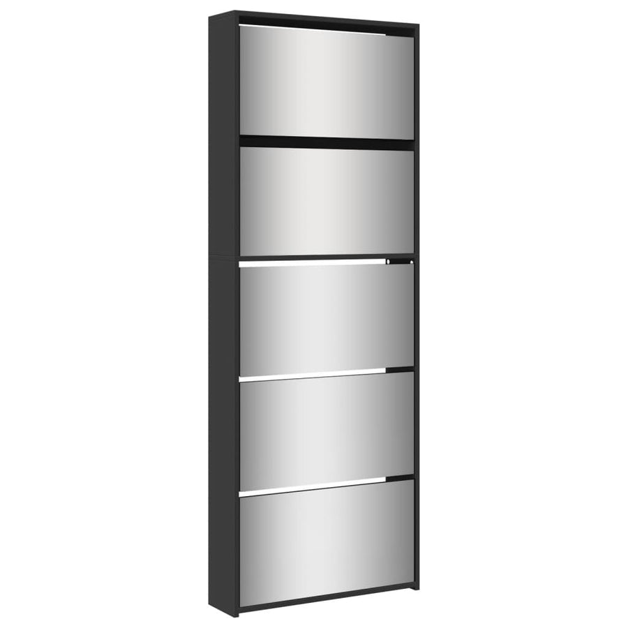 Schoenenkast Met Spiegel 5-Laags 63X7X69,5 Cm Zwart