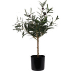 Kunstplant olijfboom 45x66 cm groen