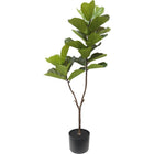 Kunstplant Ficus 60x155 cm groen