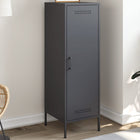 Tall cabinet 36x39x113 cm steel anthracite