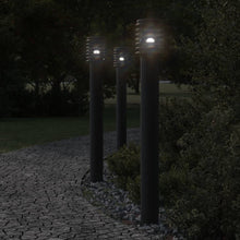 Buitenvloerlamp 110 Cm Roestvrijstaal Zwart 1