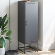 Hoge kast 36x39x123 cm staal antraciet