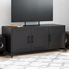 TV cabinet 100.5x39x43.5 cm steel black