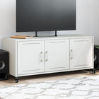 TV unit 100.5x39x43.5 cm steel white