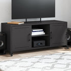 TV cabinet 100.5x39x43.5 cm steel black