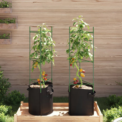 Tomatenkooi met plantenzak 2 st 116 cm staal en polypropeen
